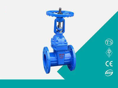 Open stem flange gate valve 2