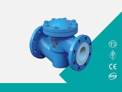 Fluorine lined check valve