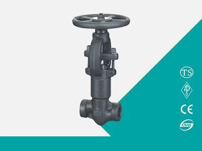 Socket welding gate valve