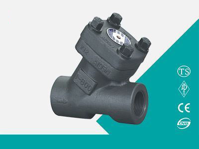 Y-type check valve
