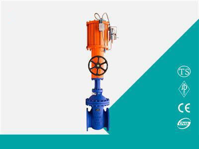 Pneumatic Gate Valve