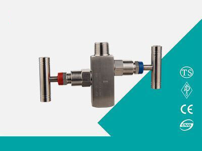 Needle globe valve 21