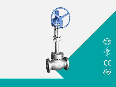 Cryogenic Globe Valve